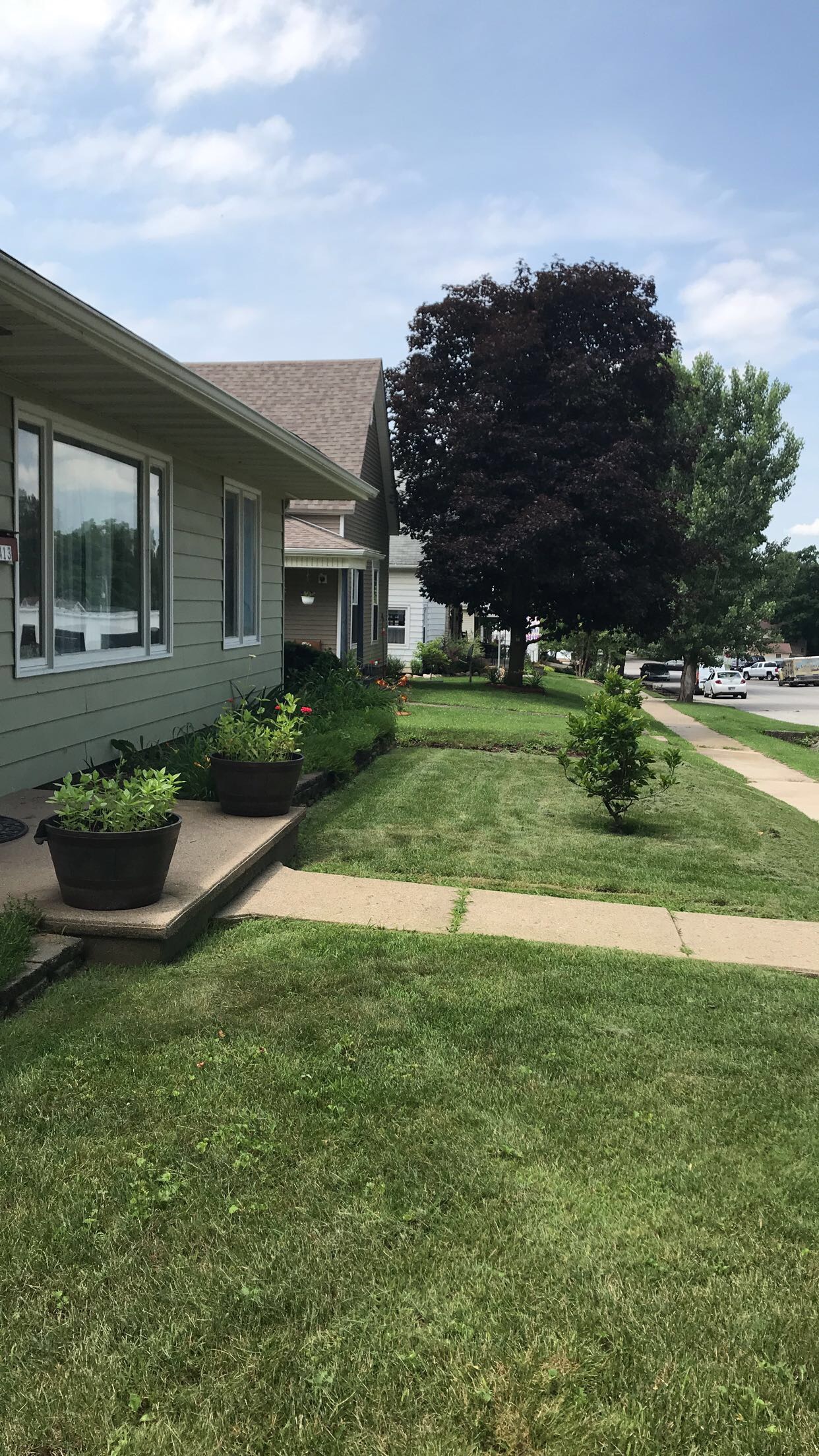 Fresh Cut Front Yard