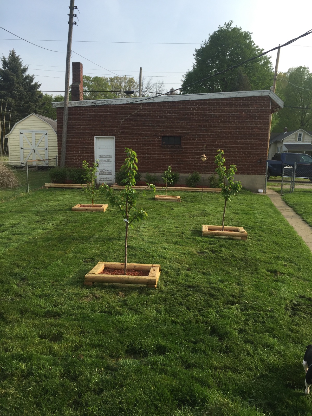 Tree Planters Installed